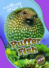 Puffer Fish