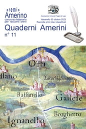 Quaderni Amerini n°11