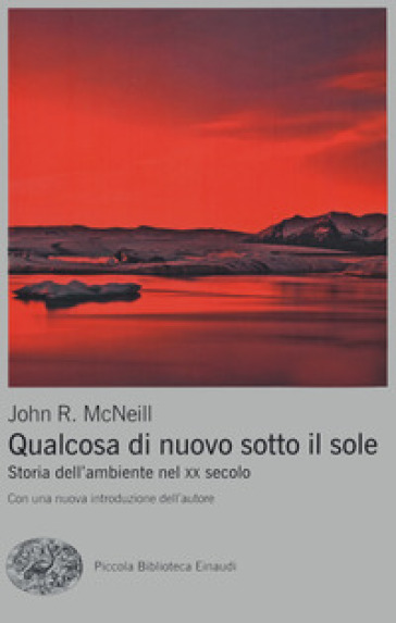 Qualcosa di nuovo sotto il sole. Storia dell'ambiente nel XX secolo - John R. McNeill