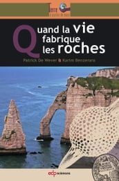 Quand la vie fabrique les roches