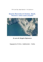 Quarta Raccolta di Analisi, Studi, Perizie e altre cose (in)utili