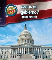 Qué es un gobierno?