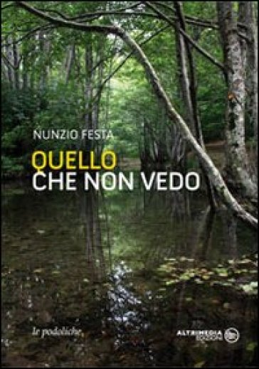 Quello che non vedo - Nunzio Festa