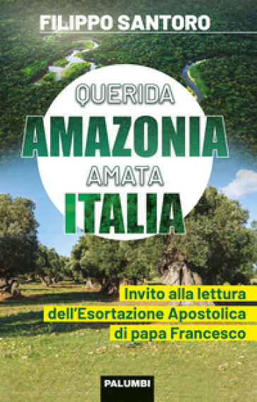 Querida Amazonia amata Italia. Invito alla lettura dell'Esortazione Apostolica di papa Francesco - Filippo Santoro