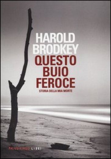 Questo buio feroce. Storia della mia morte - Harold Brodkey