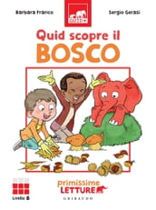 Quid scopre il bosco