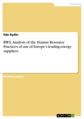 RWE. Analysis of the Human Resource Practices of one of Europe s leading energy suppliers