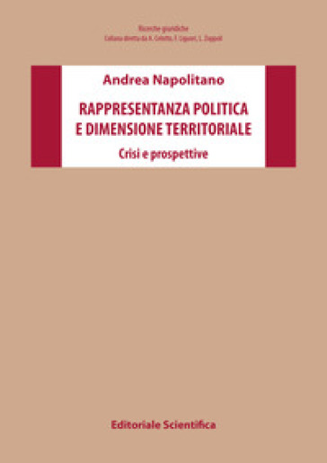 Rappresentanza politica e dimensione territoriale. Crisi e prospettive - Andrea Napolitano