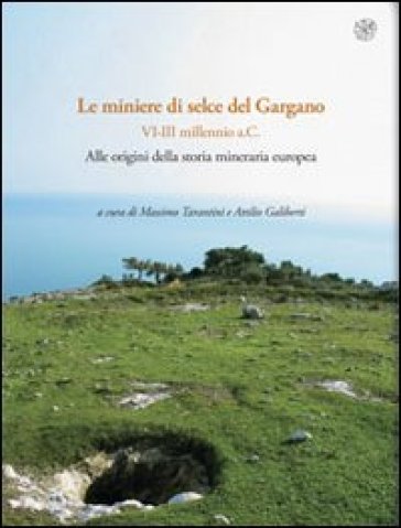 Rassegna di archeologia (2009-2011). 24/1: Preistorica e protostorica. Le miniere di selce...