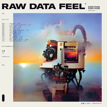 Raw data feel - Everything Everything