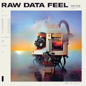 Raw data feel