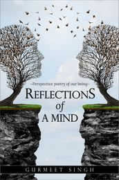 Reflections of a Mind