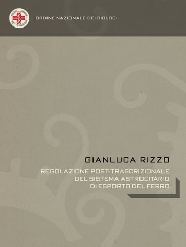 Regolazione post-trascrizionale del sistema astrocitario di esporto del ferro - Gianluca Rizzo