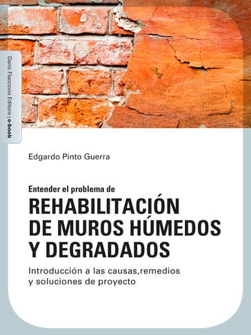 Rehabilitación de muros húmedos y degradados - Edgardo Pinto Guerra