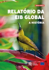 Relatório da EIB Global A história