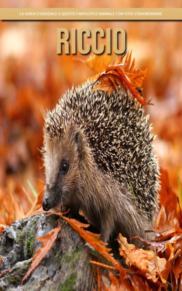 Riccio: la guida essenziale a questo fantastico animale con foto straordinarie - Claudia Santopaolo