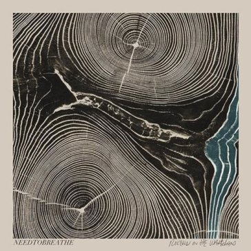 Rivers in the wasteland - NEEDTOBREATHE