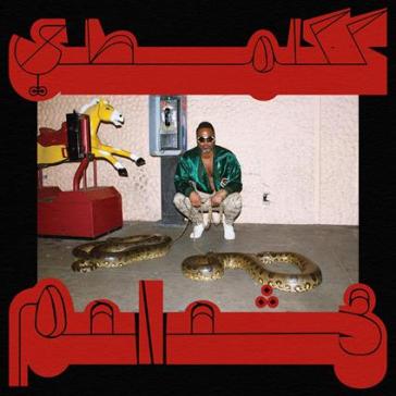 Robed in rareness - Shabazz Palaces