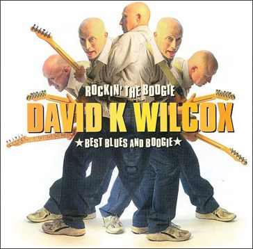Rockin' the boogie - David Wilcox