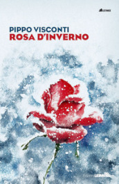 Rosa d inverno