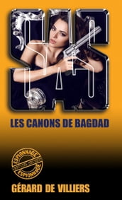 SAS 100 Les canons de Bagdad