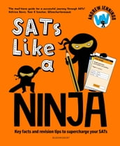 SATs Like a Ninja