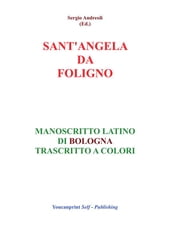 S.Angela da Foligno - Manoscritto latino di Bologna trascritto a colori