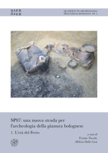 SP87: una nuova strada per l'archeologia della pianura bolognese. Vol. 1: L' età del Ferro