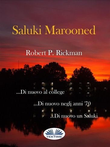 Saluki Marooned - Robert P Rickman