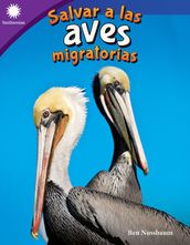 Salvar a las aves migratorias