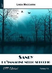 Sandy e l immagine nello specchio