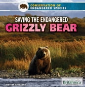 Saving the Endangered Grizzly Bear