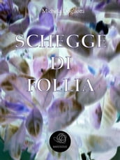 Schegge di follia