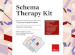 Schema therapy kit. 75 carte per la pratica clinica. Con 75 Carte