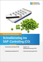 Schnelleinstieg ins SAP-Controlling (CO)