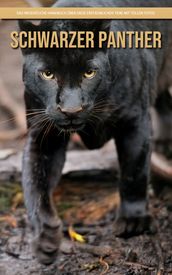 Schwarzer Panther: Das wesentliche Handbuch über diese erstaunlichen Tiere mit tollen Fotos