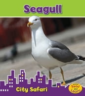 Seagull