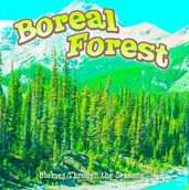 Seasons Of The Boreal Forest Biome