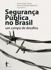 Segurança pública no Brasil