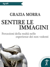 Sentire le immagini. percezioni della realtà nelle esperienze dei non vedenti