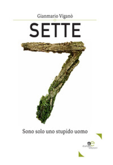 Sette. Sono solo uno stupido uomo - Gianmario Viganò