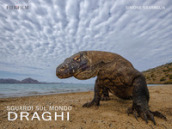 Sguardi sul mondo: Komodo. Ediz. illustrata