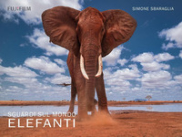 Sguardi sul mondo: elefanti. Ediz. illustrata - Simone Sbaraglia