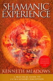 Shamanic Experience