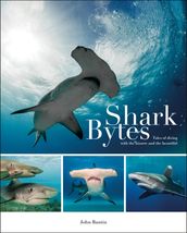 Shark Bytes