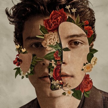 Shawn mendes (Box Fan Edition) - SHAWN MENDES