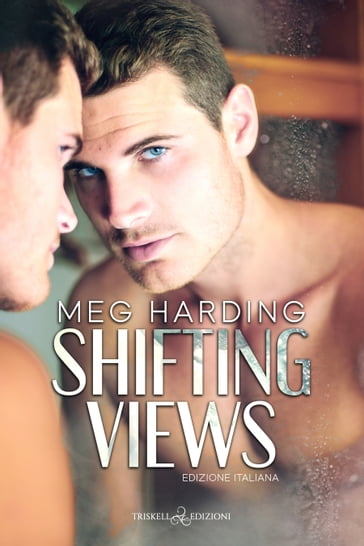 Shifting Views - Meg Harding