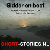 Sidder en beef