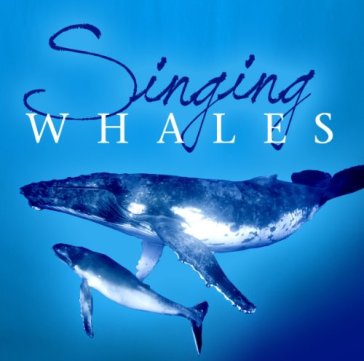 Singing whales - AA.VV. Artisti Vari