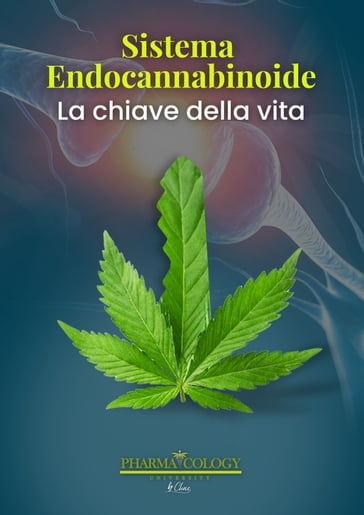 Sistema endocannabinoide: la chiave della vita - Pharmacology University